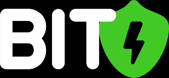Bitsurg
